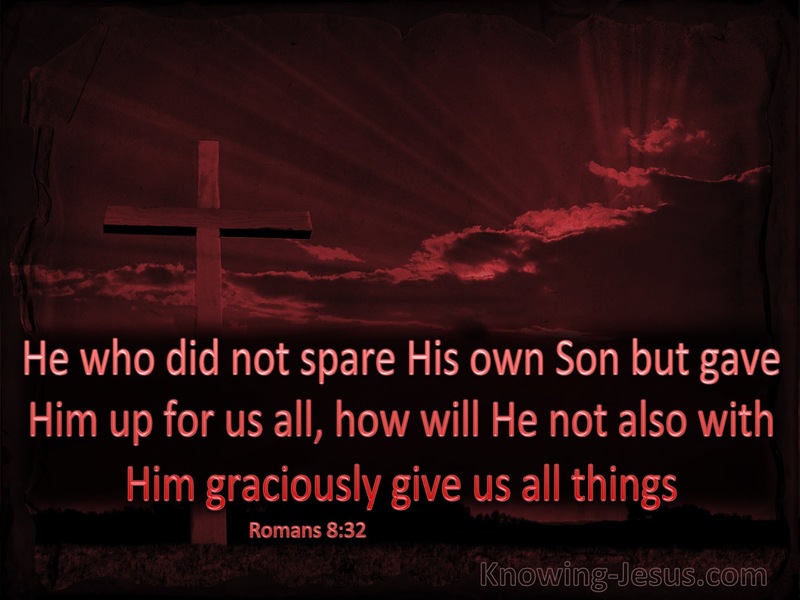 Romans 8:32 He Who Did Not Spare His Own Son (maroon)